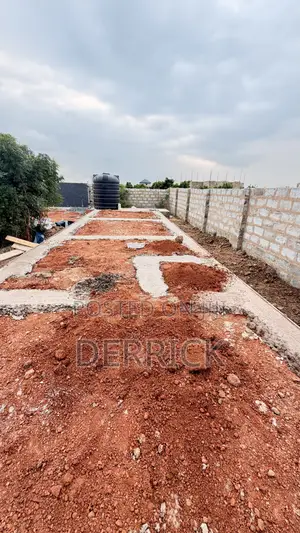 Professional Construction Management Services