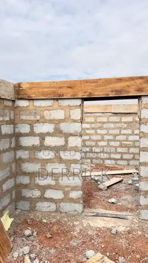 Professional Construction Management Services