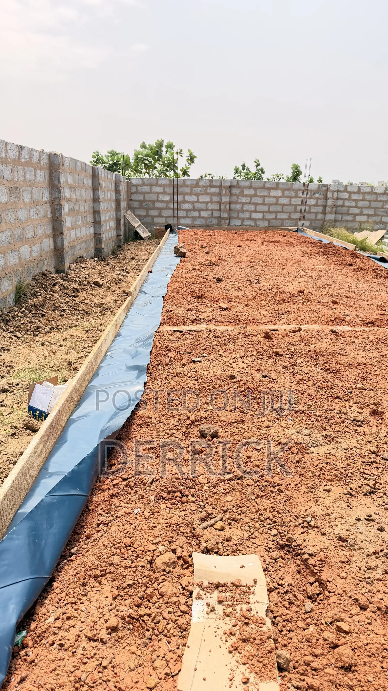 Professional Construction Management Services