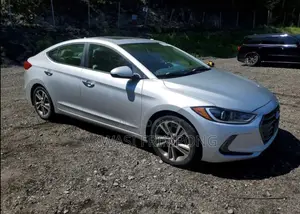 Hyundai Elantra Sport Sedan FWD (1.6L 4cyl 6M) 2017 Silver