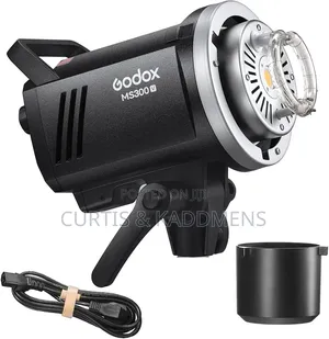 Godox MS300-V Studio Flash Mono Light