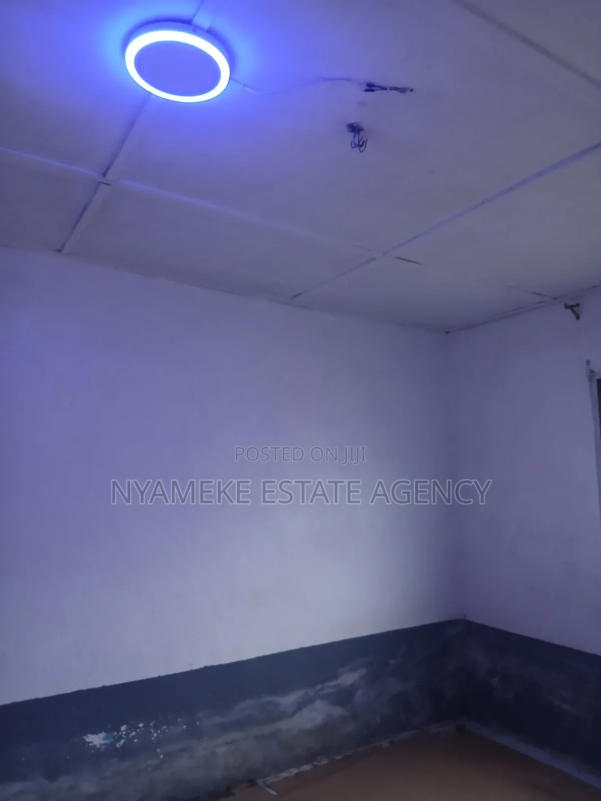 1bdrm Apartment in Ebeneza, Exhibition for rent