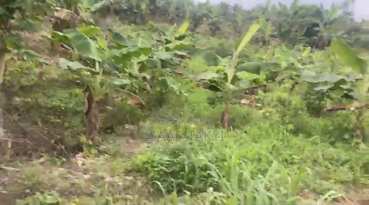 Farm Work/Farm Hand