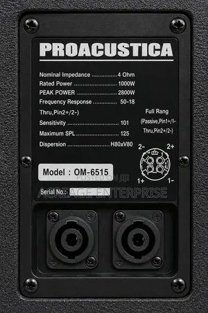 Bossman Pro Acoustica OM-6515 Full-Range Speaker.