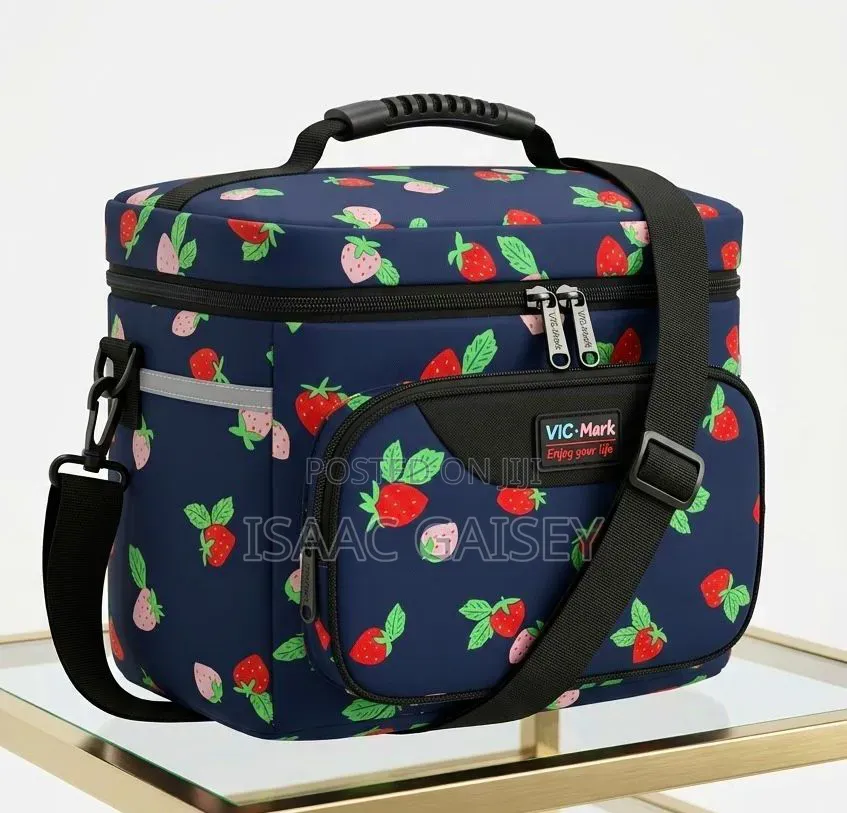 Big Size Insulated Lunch Bags for School, Travel and Work