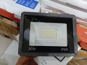 Flood Light