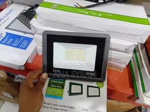 Flood Light