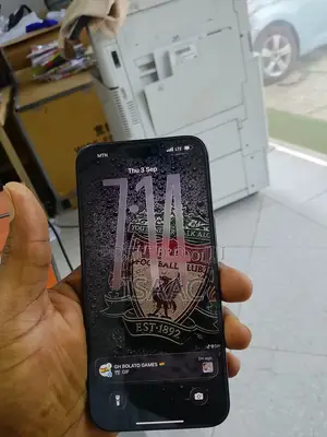 Apple iPhone 15 Pro Max 256 GB Black