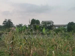 Over Ten(10) Building Plots for Sale at Green Valley