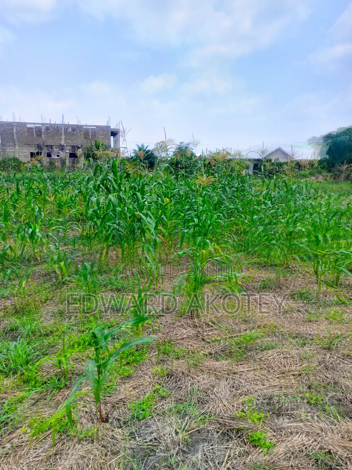 Over Ten(10) Building Plots for Sale at Green Valley