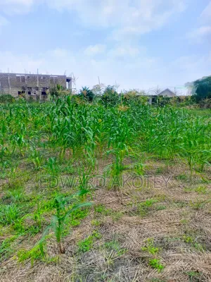 Over Ten(10) Building Plots for Sale at Green Valley