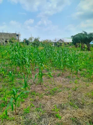Over Ten(10) Building Plots for Sale at Green Valley