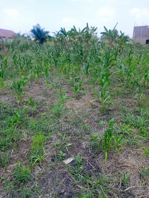 Over Ten(10) Building Plots for Sale at Green Valley