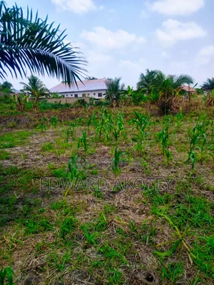 Over Ten(10) Building Plots for Sale at Green Valley