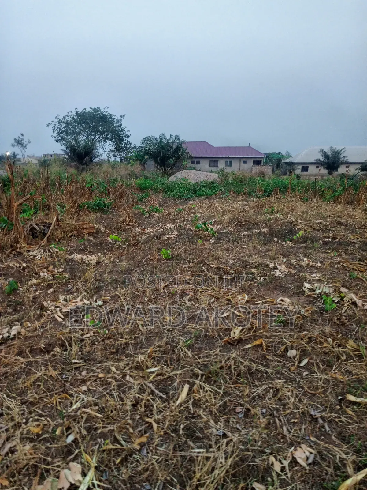 Over Ten(10) Building Plots for Sale at Green Valley
