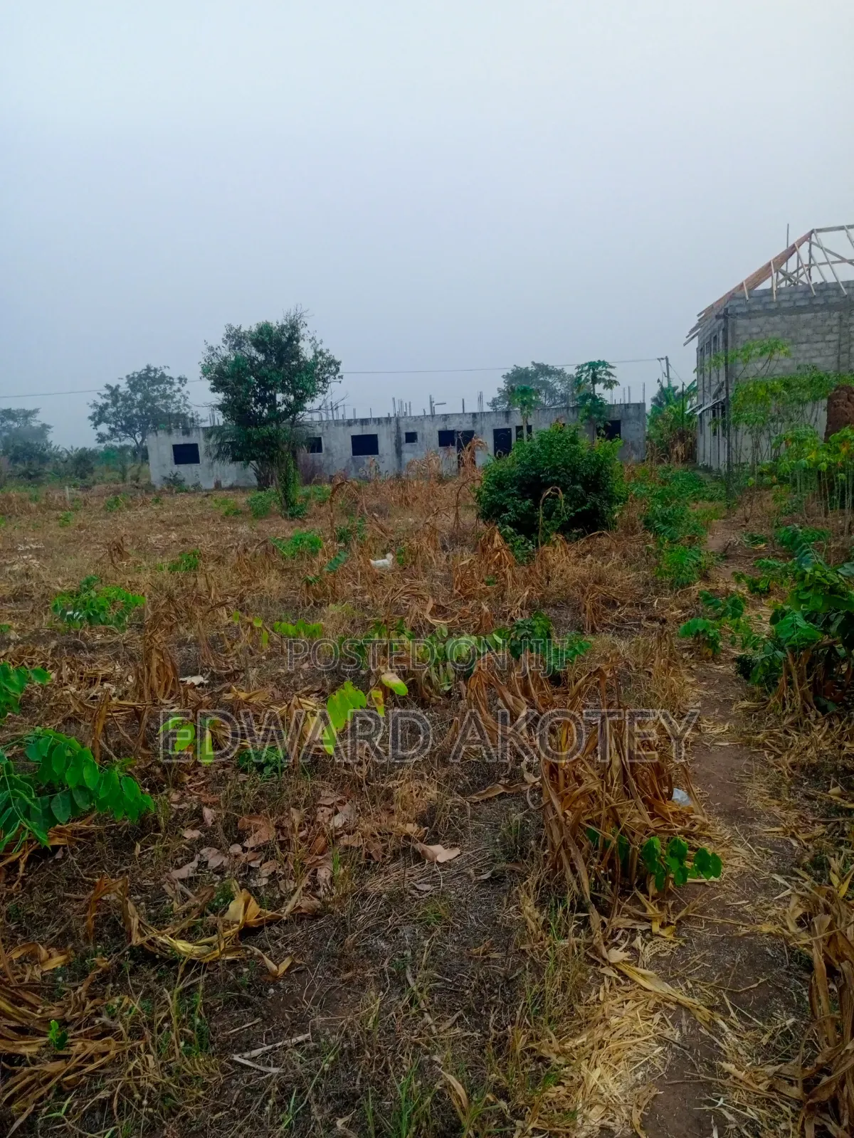 Over Ten(10) Building Plots for Sale at Green Valley