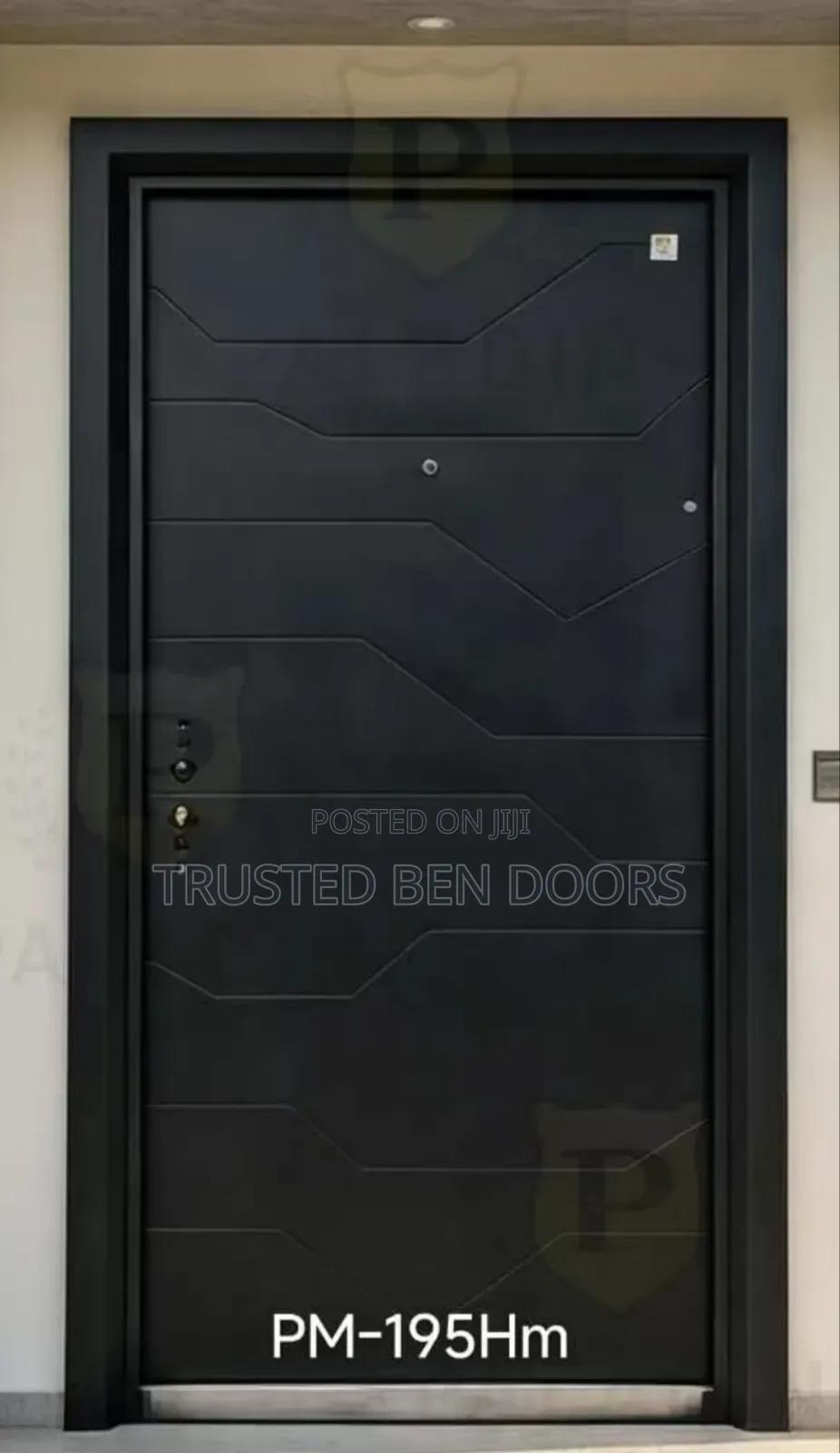 Black Paladin Turkey Single Security Door for Homes and Offices