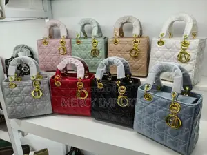 Dior Style Hand Bag