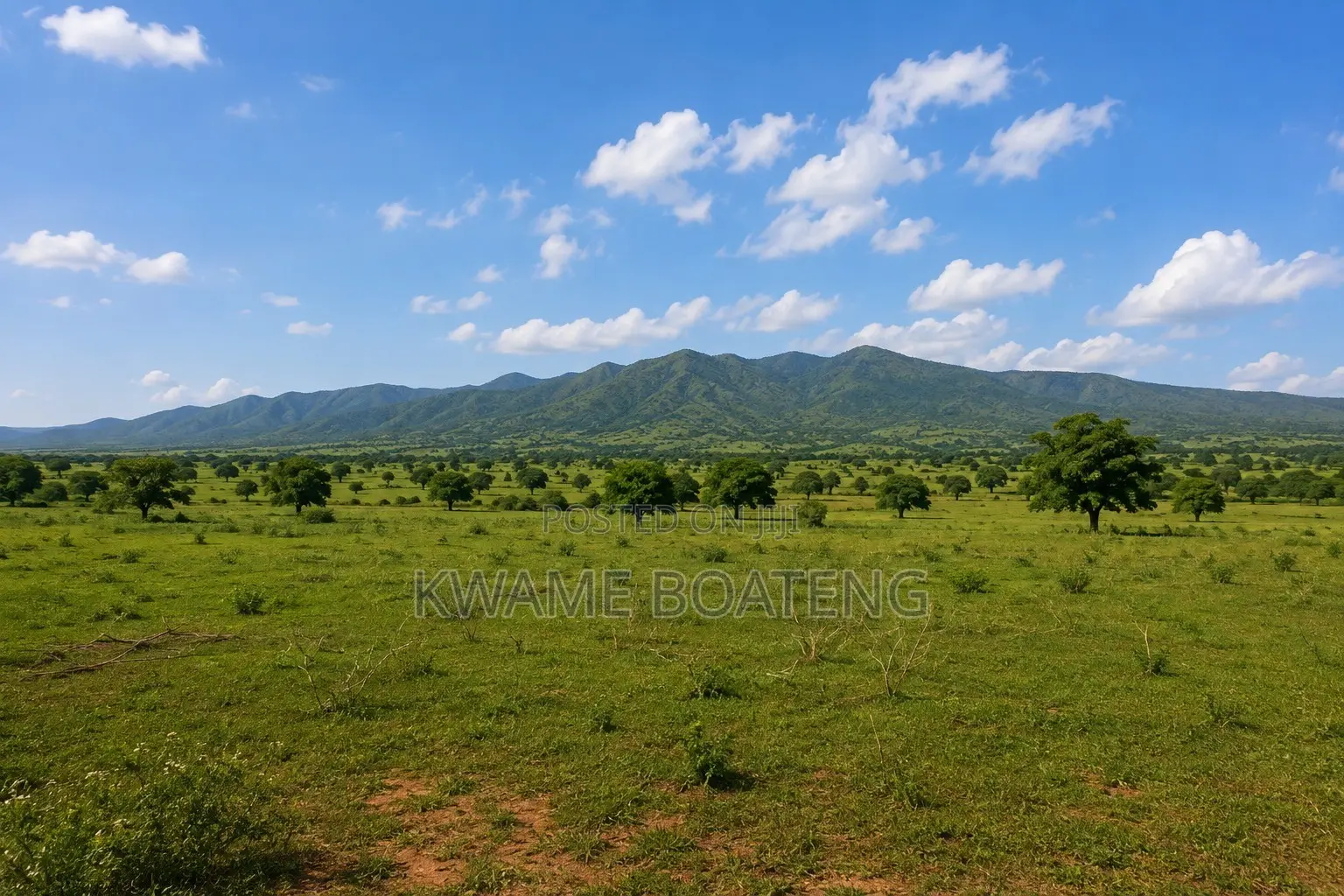Farmland for Sale