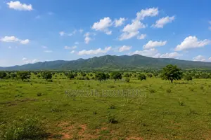 Farmland for Sale