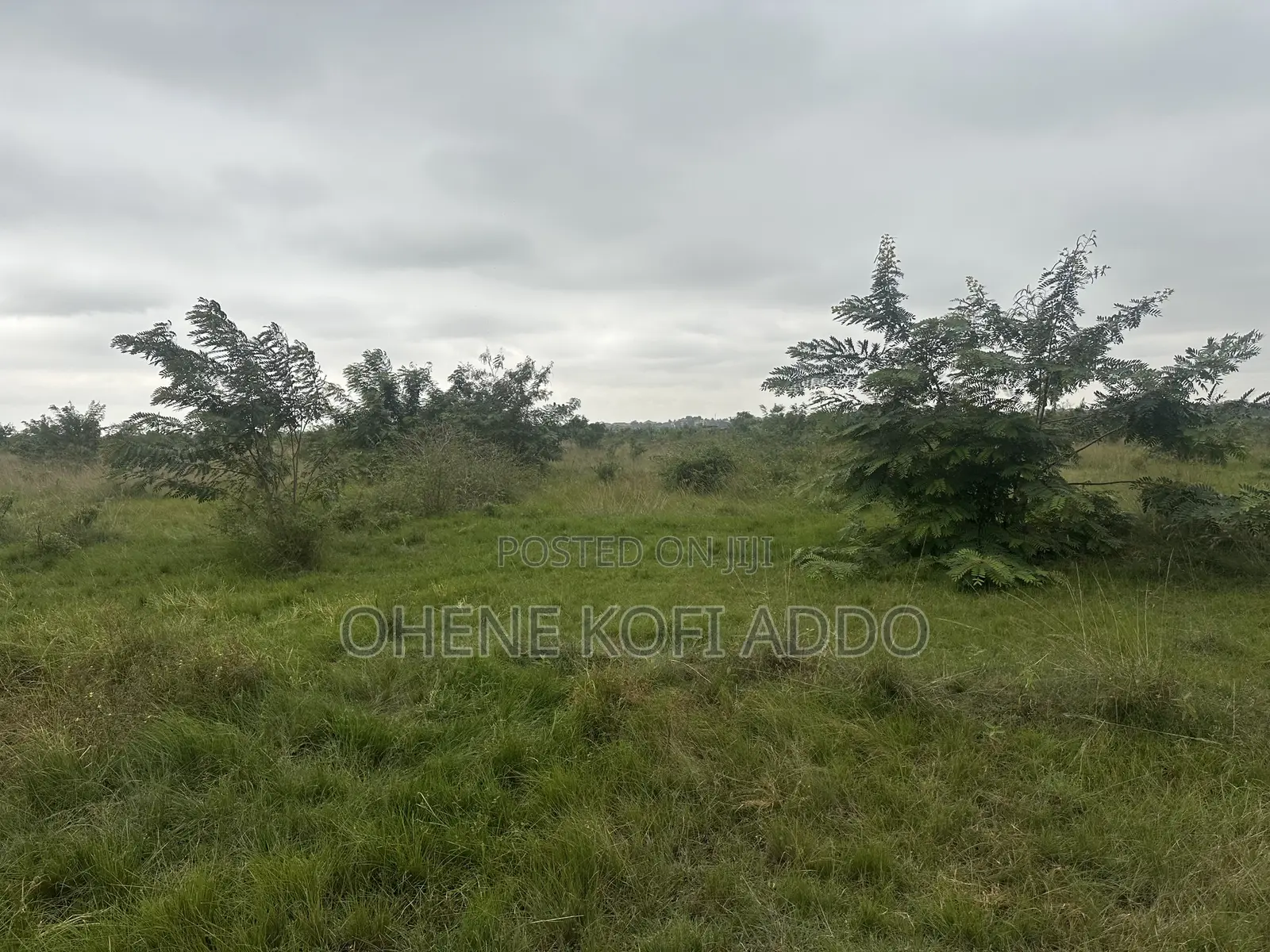 Registered Land With Land Title Certificate for Sale at Afienya