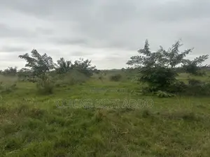 Registered Land With Land Title Certificate for Sale at Afienya