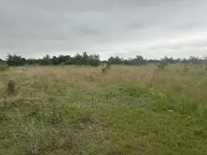 Registered Land With Land Title Certificate for Sale at Afienya