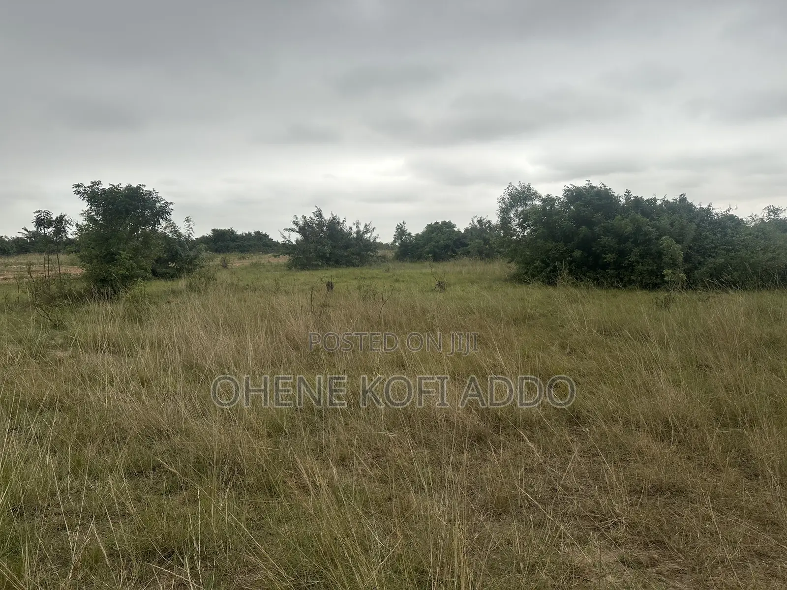Registered Land With Land Title Certificate for Sale at Afienya