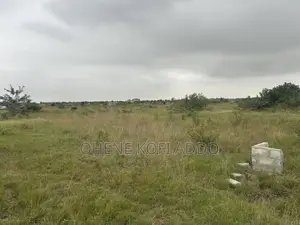 Registered Land With Land Title Certificate for Sale at Afienya