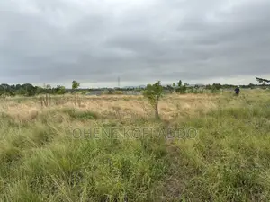 Registered Land With Land Title Certificate at Dodowa Ayi Kuma
