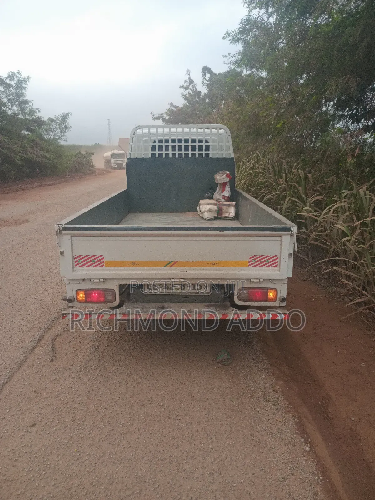 Bongo for Sale