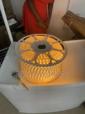 Warm LED Light With Choke 220v