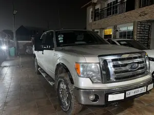 Ford F-150 SuperCab 4x4 2009 Brown