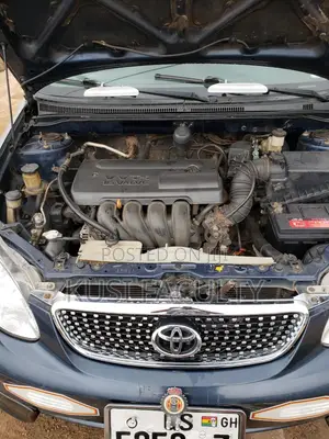 Toyota Corolla 2010 Blue
