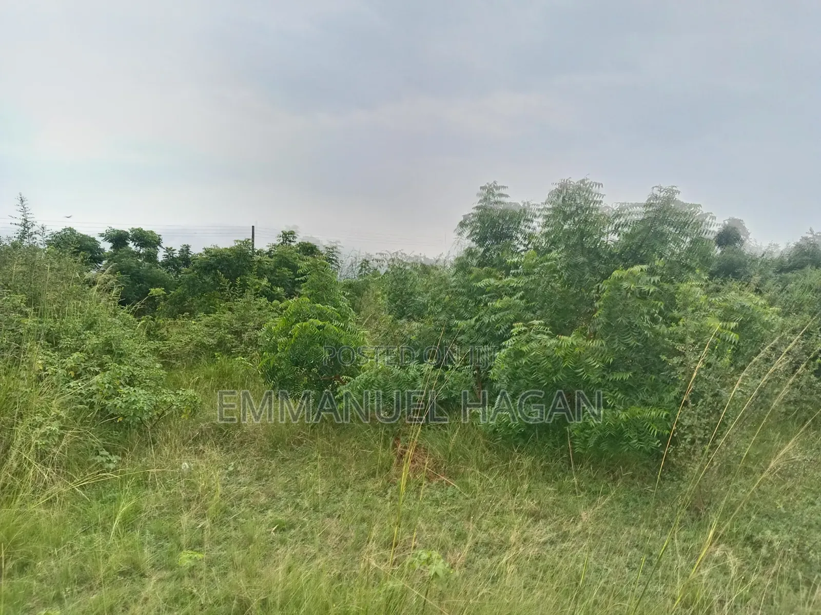 Half Plot of Land (80/50) at Shai Hills, Sun City Junction.