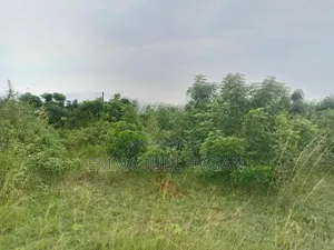 Half Plot of Land (80/50) at Shai Hills, Sun City Junction.