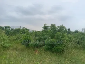 Half Plot of Land (80/50) at Shai Hills, Sun City Junction.
