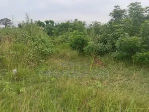 Half Plot of Land (80/50) at Shai Hills, Sun City Junction.