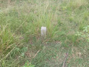 Half Plot of Land (80/50) at Shai Hills, Sun City Junction.