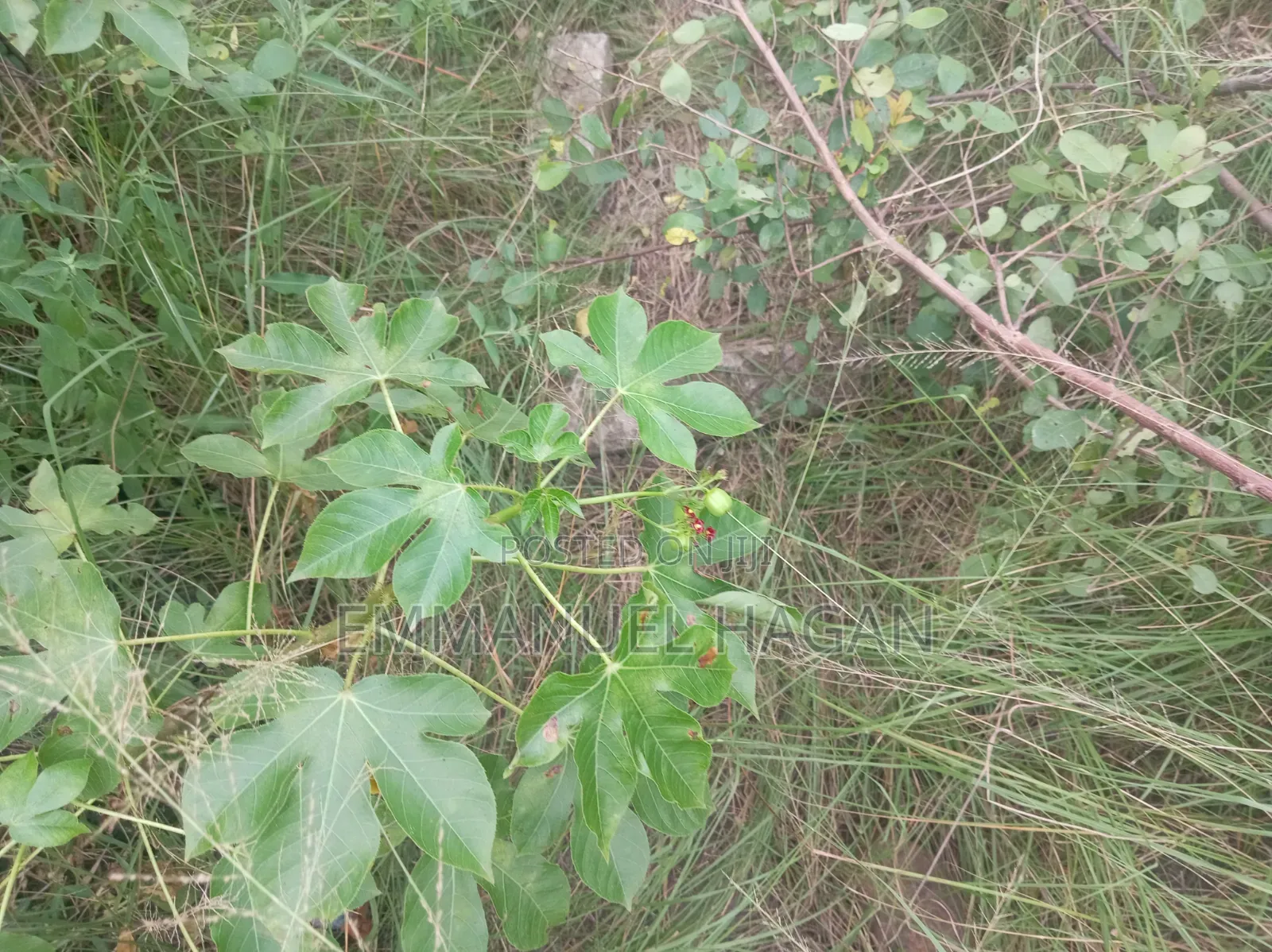 Half Plot of Land (80/50) at Shai Hills, Sun City Junction.