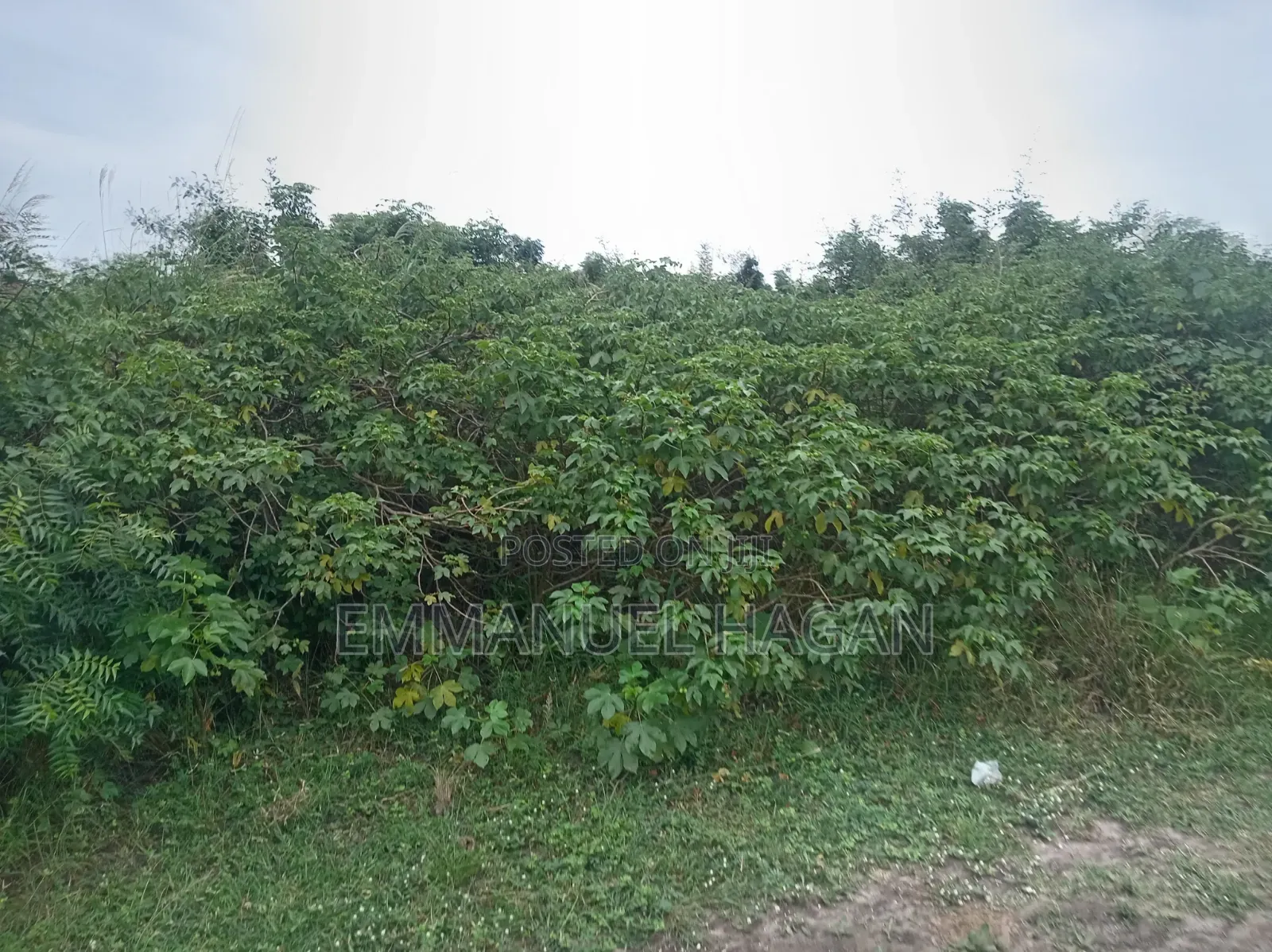 Half Plot of Land (80/50) at Shai Hills, Sun City Junction.