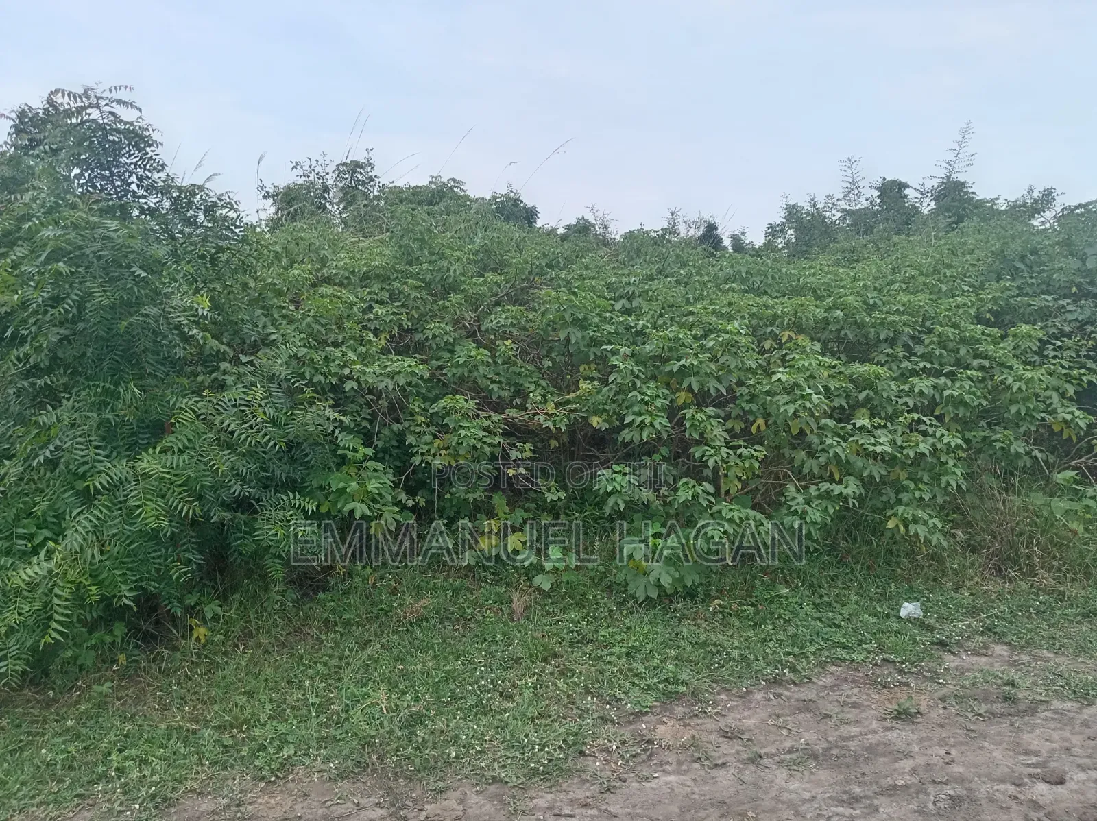 Half Plot of Land (80/50) at Shai Hills, Sun City Junction.
