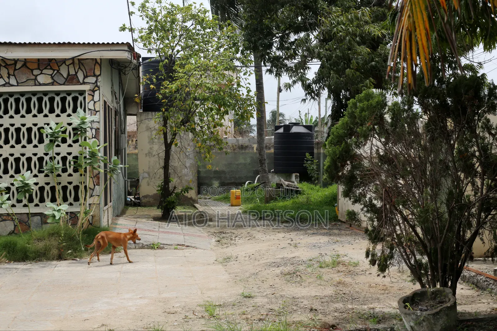 Half Plot of Land for Sale @ Nungua