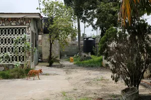 Half Plot of Land for Sale @ Nungua