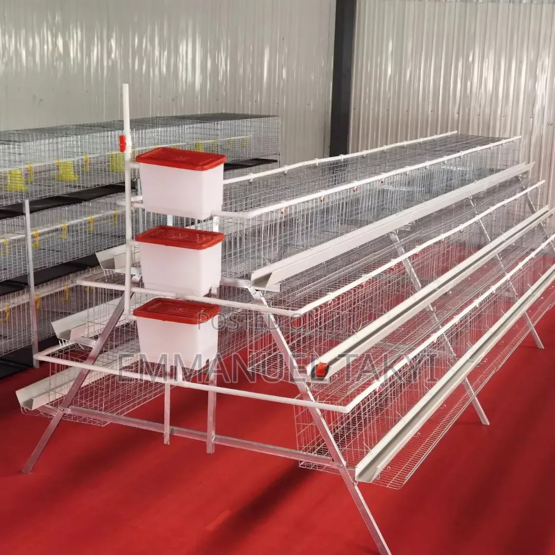 Chicken Cage a -Shaped