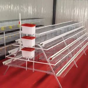 Chicken Cage a -Shaped