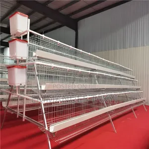Chicken Cage a -Shaped