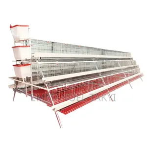 Chicken Cage a -Shaped
