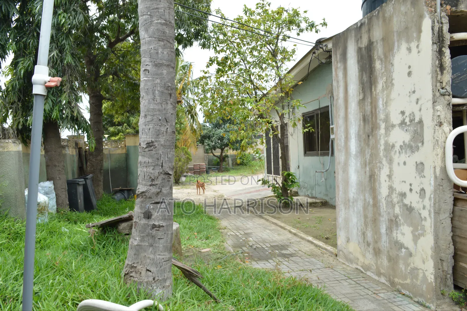 Half Plot of Land for Sale @ Nungua