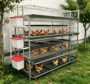 Chicken Cage H-Shape